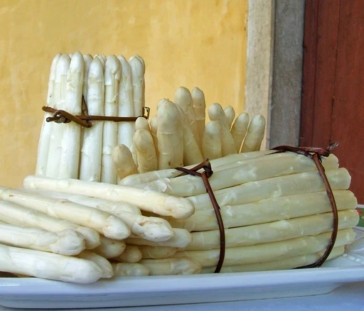 Asparago bianco di Bassano DOP — l'oro bianco del Veneto
